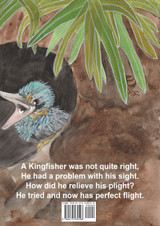 Kingi The Cross-Eyed Kingfisher