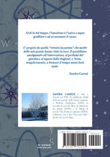 Dalla vetrata incantata