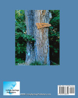 The Imagination Tree! Where Dreams Begin!