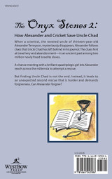 The Onyx Stones 2 by Debby L. Johnston (Hardcover)