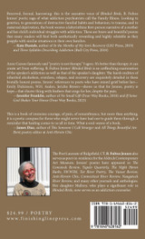 BLINDED BIRDS by B. Fulton Jennes (Hardcover)