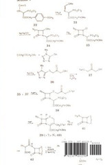 Arrival. An Immigrant Story