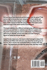 What Does Spider Poop Look Like? What Does Spider Poop Look Like?
