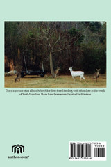 Short Stories About Life in Berkeley County South Carolina
