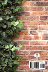 Murder at Wrigley Field