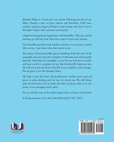 Butterfly Wings are not just Beautiful Things