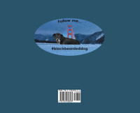 Black Bear Goes to San Francisco