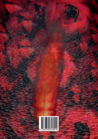 Flammenfeder Live von der Gartenschau