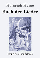 Buch der Lieder (Großdruck)