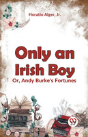 Only an Irish Boy Or, Andy Burke's Fortunes