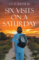 Six Visits on a Saturday