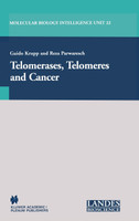 Telomerases, Telomeres and Cancer