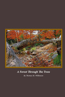 A Forest Through The Trees