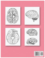 Neuroanatomy Human Brain Coloring Book