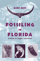 Fossiling in Florida