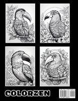 Technicolor Toucans