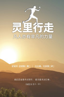 Spirit Walk (Special Edition) [Chinese] 灵里行走