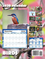 Birds 2020 Calendar (UK Edition)