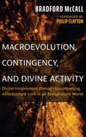 Macroevolution, Contingency, and Divine Activity