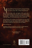 The Twin Flame