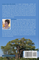 Soaring above the Clouds