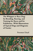 The Whippet or Race Dog