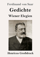 Gedichte / Wiener Elegien (Großdruck)