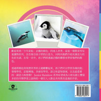 少年彩虹, 企鵝的顏色