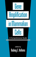 Gene Amplification in Mammalian Cells