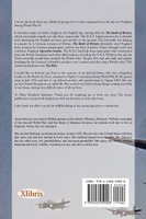 Enemy Planes Above Us