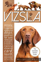 Vizsla