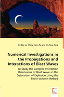 Numerical Investigations in the Propagations and Interactions of Blast Waves