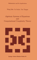 Algebraic Systems of Equations and Computational Complexity Theory