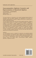 Noncommutative Algebraic Geometry and Representations of Quantized Algebras