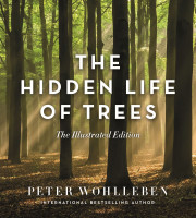 Hidden Life of Trees (Illustrated Edition)