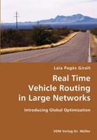 Real Time Vehicle Routing in Large Networks- Introducing Global Optimization