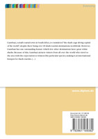 Exploring the determinants of satisfactory shark tourism experiences from the participants' perspective in Gansbaai, South Africa