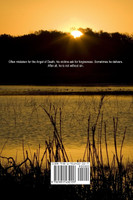 The Drayton Chronicles