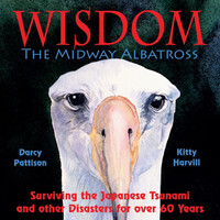 Wisdom, the Midway Albatross
