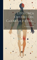 Litotomia Ovuero Del Cavar La Pietra...