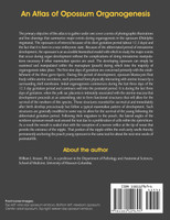 An Atlas of Opossum Organogenesis