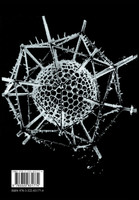 Lineare Algebra und Analytische Geometrie II