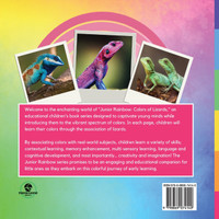 Junior Rainbow, Colors of Lizards