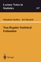 Non-Regular Statistical Estimation
