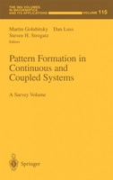 Pattern Formation in Continuous and Coupled Systems