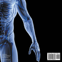 Organs, Systems, and Beyond | Anatomy and Physiology