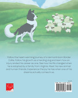 Ben the Border Collie