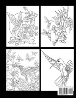 Hummingbird Coloring Book