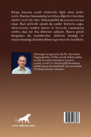 Dazzlers Turkish version