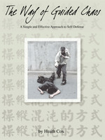 The Way of Guided Chaos